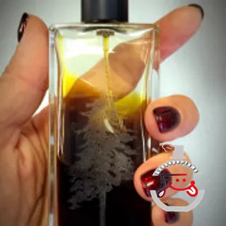 Treacle Pineward Perfumes