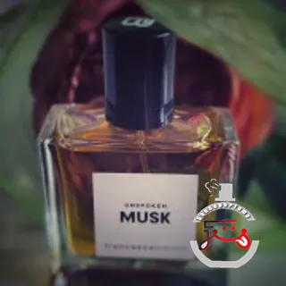 Unspoken Musk Francesca Bianchi