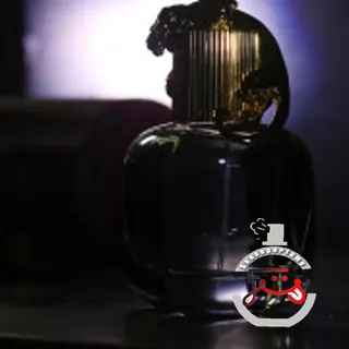 Brave Aristocrazy
