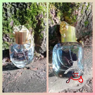 Brave Aristocrazy