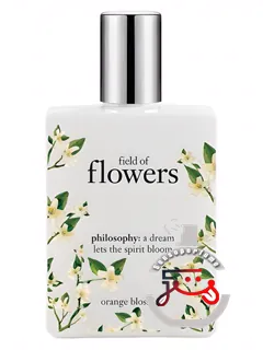فیلد آف فلاورز اورنج بلاسام فیلسافی | field of flowers orange blossom philosophy