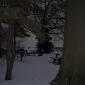 پروفِسُر لیلیث