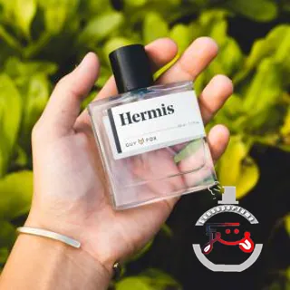 Hermis GUY FOX