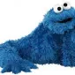 cacemonster