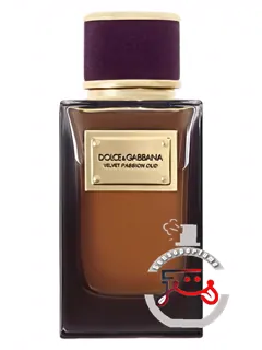 ولوت پسن اود دولچه‌آند گابانا | velvet passion oud dolce&gabbana