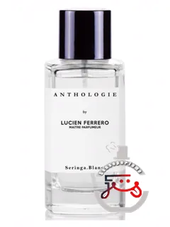 سرنگا بلانک آنتولوژی | seringa blanc anthologie