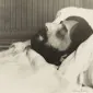 ایور سه
