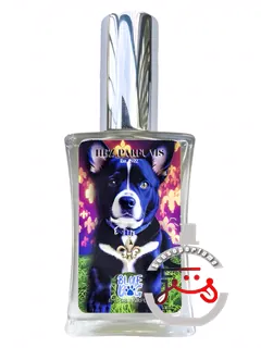 بلو داگ هز پارفوم | blue dog hez parfums