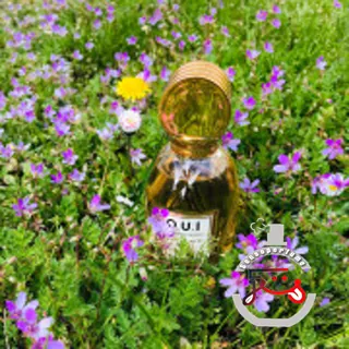L’Amour-Esse 142 O.U.i Original Unique Individual