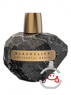 اینسیدنتال آیریس بلک‌کلیف پارفوم | incidental orris blackcliff parfums