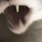 himikunt