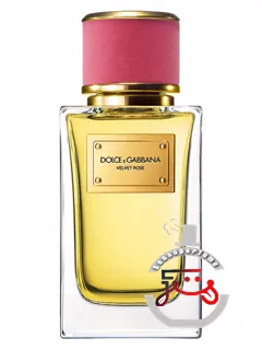 ولوت رز دولچه‌آندگابانا | velvet rose dolce&gabbana
