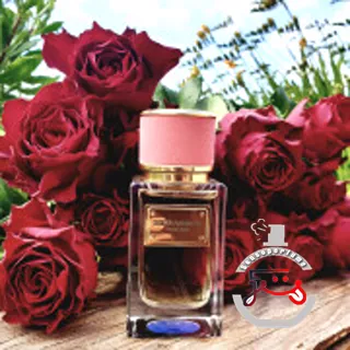 Velvet Rose Dolce&Gabbana
