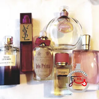 Velvet Rose Dolce&Gabbana