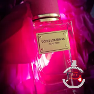 Velvet Rose Dolce&Gabbana