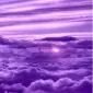 مِی‌بِری