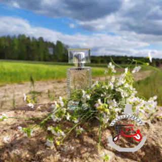 Eau de Lalique Lalique