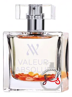 کنفیانس والیور آبسولوت | confiance valeur absolue