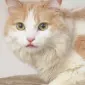 sassypants