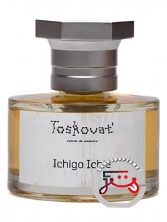 ایچیگو ایچی توسکوات | ichigo ichie toskovat'