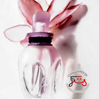 My Queen Deluxe Edition Alexander McQueen