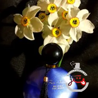 Far Away Beyond The Moon Avon
