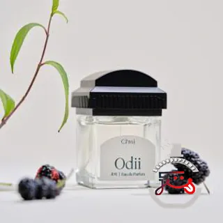 Odii 오디 Chwi 취