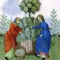 brethrenthyme