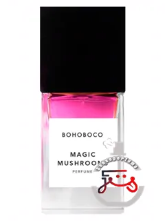 مجیک مشرومز بوهوبوکو | magic mushrooms bohoboco