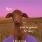 Deetjr