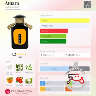 Amara Cultus Artem