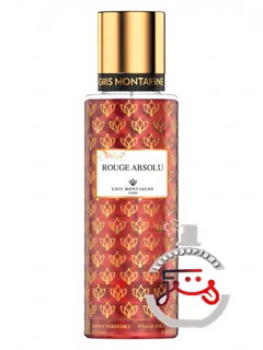 روژ ابسلو گری مونته‌نی پاریس | rouge absolu gris montaigne paris