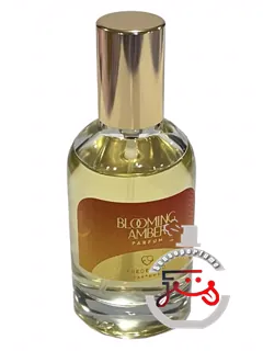 بلومینگ آمبر فریدریکو پارفوم | blooming amber frederico parfums