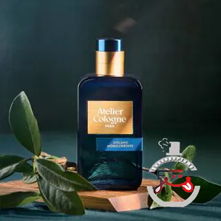 Oolang Monochrome Atelier Cologne