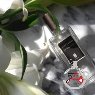 La Vierge De Fer Serge Lutens