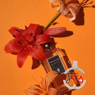 La Vierge De Fer Serge Lutens