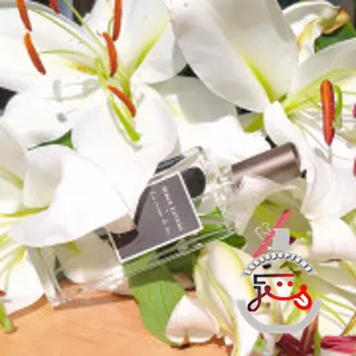 La Vierge De Fer Serge Lutens