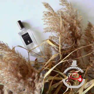 La Vierge De Fer Serge Lutens