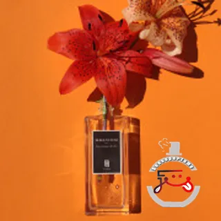 La Vierge De Fer Serge Lutens