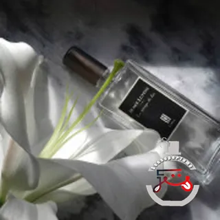 La Vierge De Fer Serge Lutens
