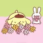 hanikkuma