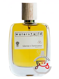 توبروز + آب‌های کندر + عطرسازی وحشی | tuberose + frankincense waters + wild perfumery