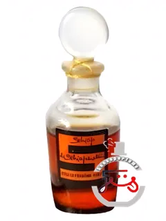 شیاپ شیاپارلی | schiap schiaparelli