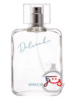دیلسینو پایوت | dilsinho payot