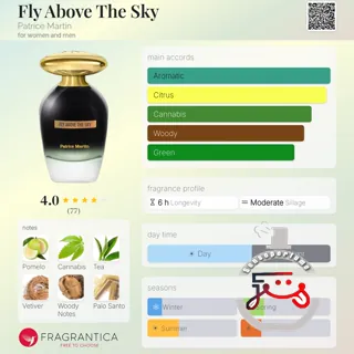 Fly Above The Sky Patrice Martin