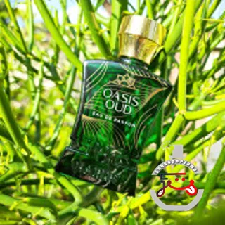 Oasis Oud Habibi NY