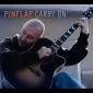 pinflap