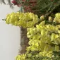 فرَگَادیکت یک دو سه