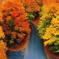کای یازده