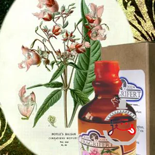 Ajonc Fragrifert Parfumeur
